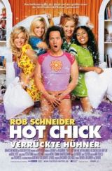 მაგარი გოგონა / The Hot Chick