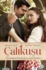 ნარჩიტა / Çalikusu