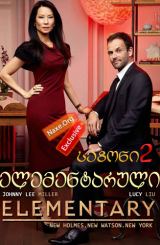 ელემენტარული სეზონი 2 ქართულად / Elementary