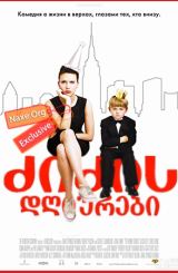 ძიძის დღიურები (ქართულად) / The Nanny Diaries /
