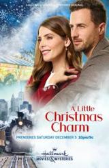 ბრასლეტი თილისმა / The Charm Bracelet
