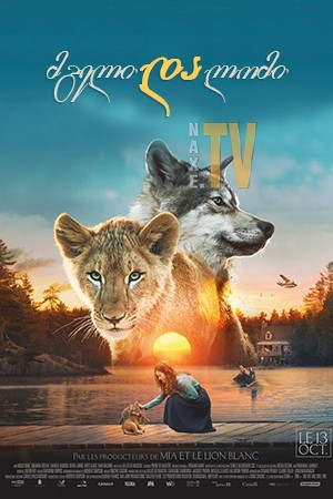 მგელი და ლომი / The Wolf and the Lion