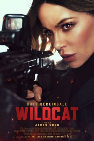 ველური კატა / Wildcat