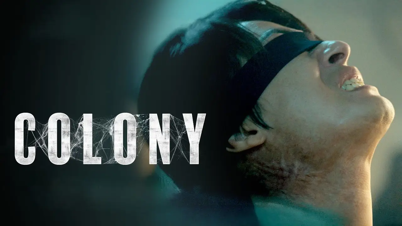 კოლონია / Colony