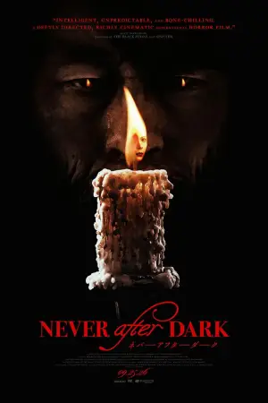 არასდროს დაღამების შემდეგ / Never After Dark